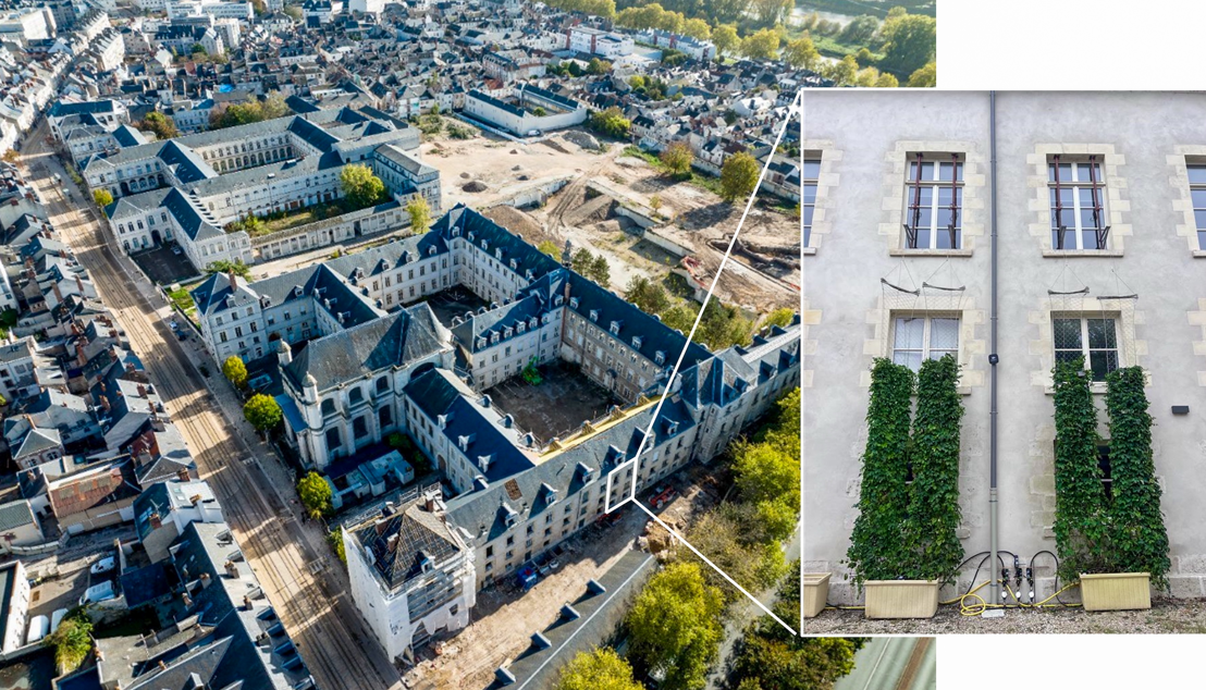 expérimentation de végétalisation menée sur le campus d’Orléans 