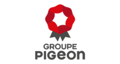 Groupe pigeon